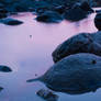 Another Mermaid Rock Stock