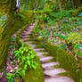Sintra Forest Stairs Stock