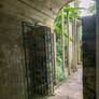 Doorway to Garden Stock