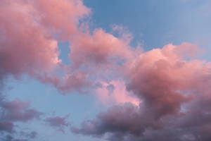 Pink Sky Stock 2 by little-spacey