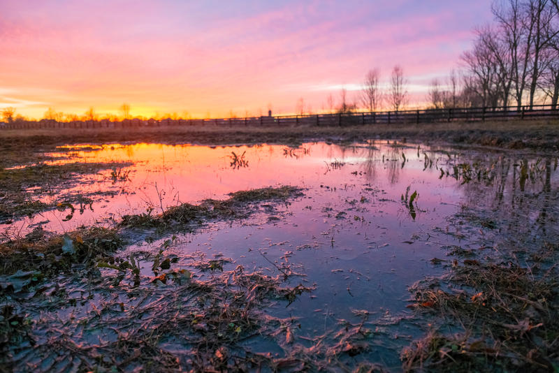 UNRESTRICTED Fiery Sunset Over Field Stock 2