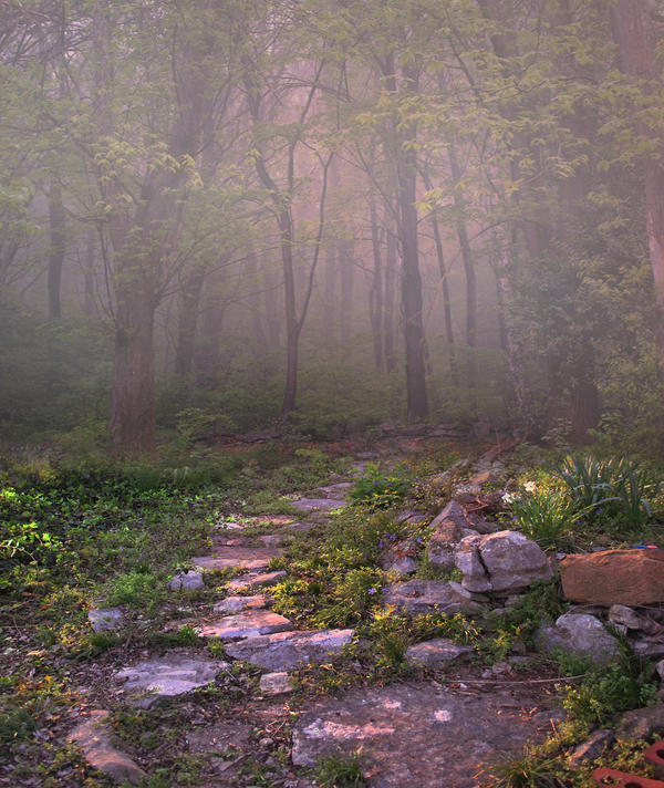 Meadow Path Background 2