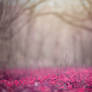 Pink Meadow Background