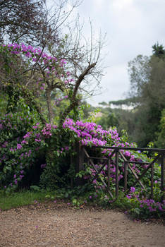 Garden Gate Stock