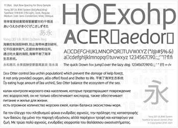 04. Sheet of multilingual typeface - Yong.SEF Sys