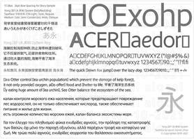 04. Sheet of multilingual typeface - Yong.SEF Sys