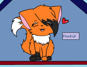 Foxkit My Warrior cat OC