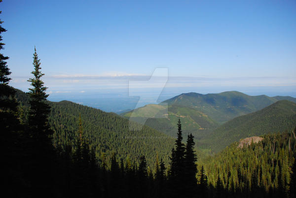 Olympic Peninsula View