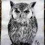 Owl (Buho)