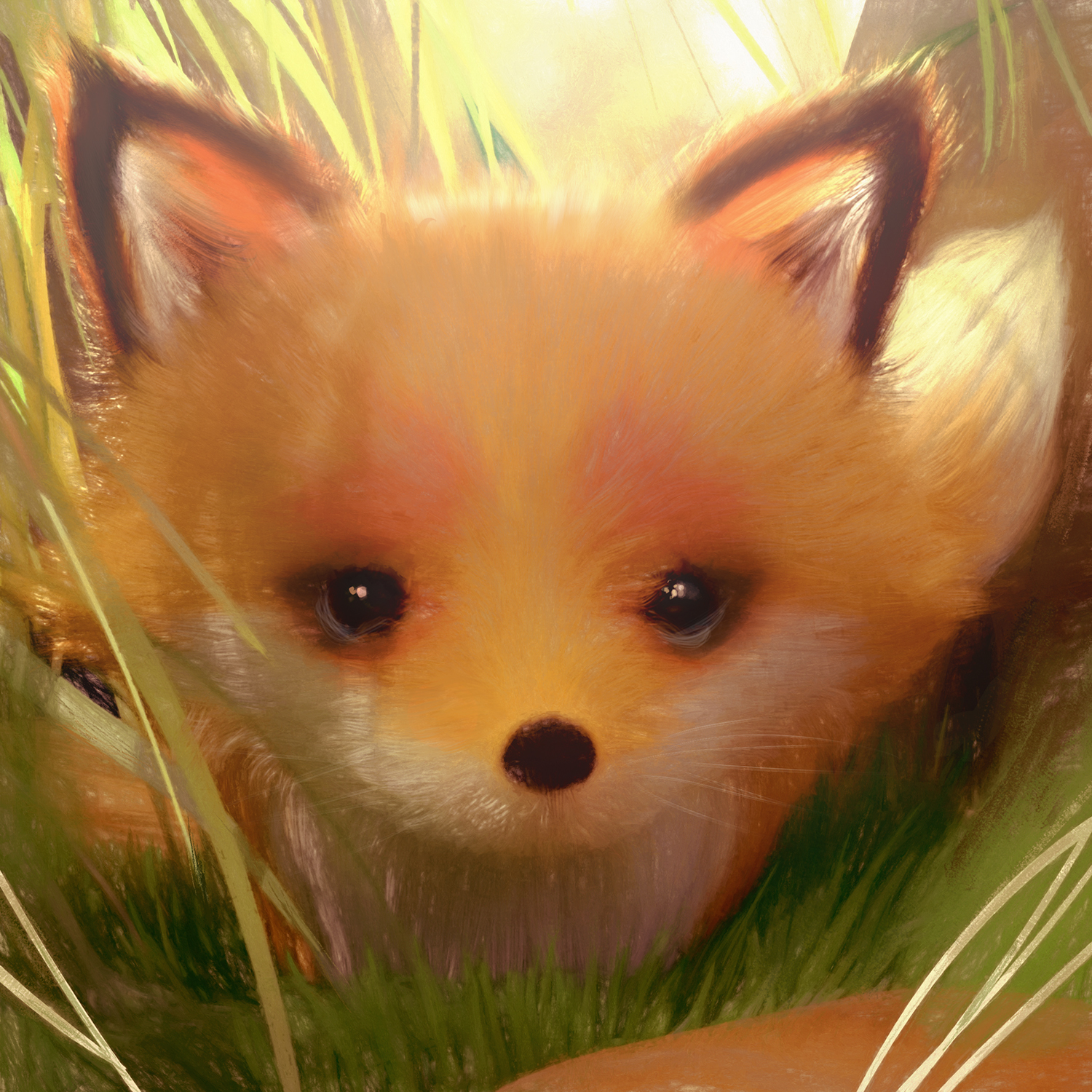 A Little Fox