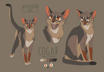 edgar [reference sheet]