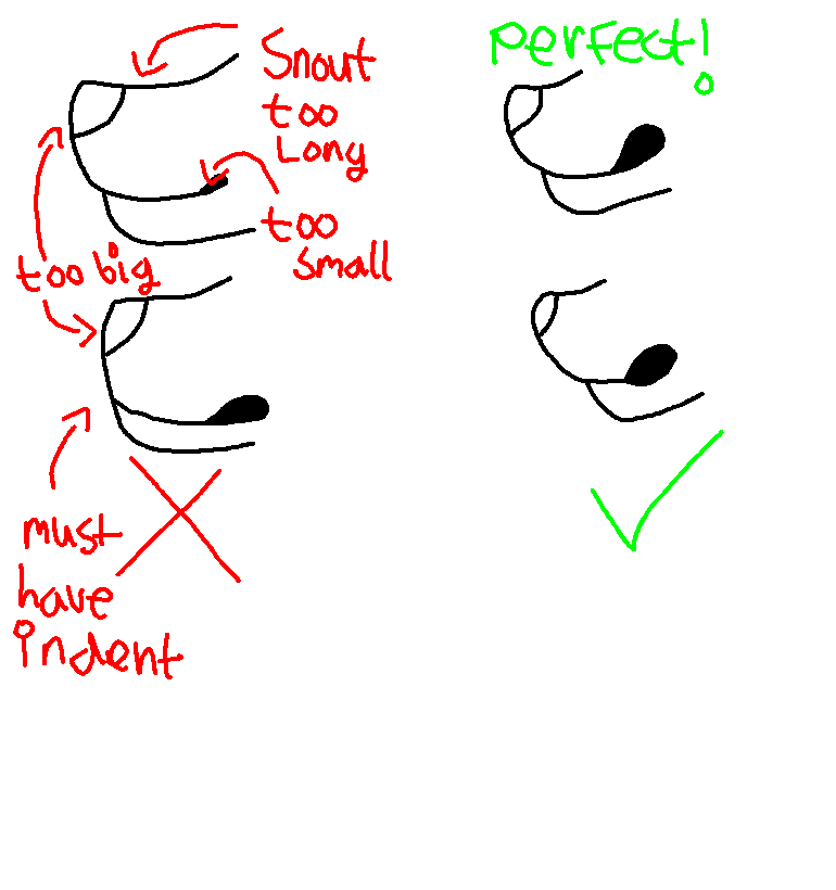 Short Snout Example How to draw the snouts by LeobrasAndLeokies on DeviantArt