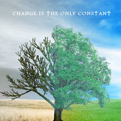 Change is the Only Constant