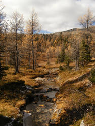 Autumn Valley