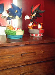 sonic and shadow the hedgehog faceoff