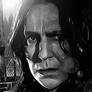 Snape. Harry Potter