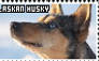 Alaskan Husky Stamp