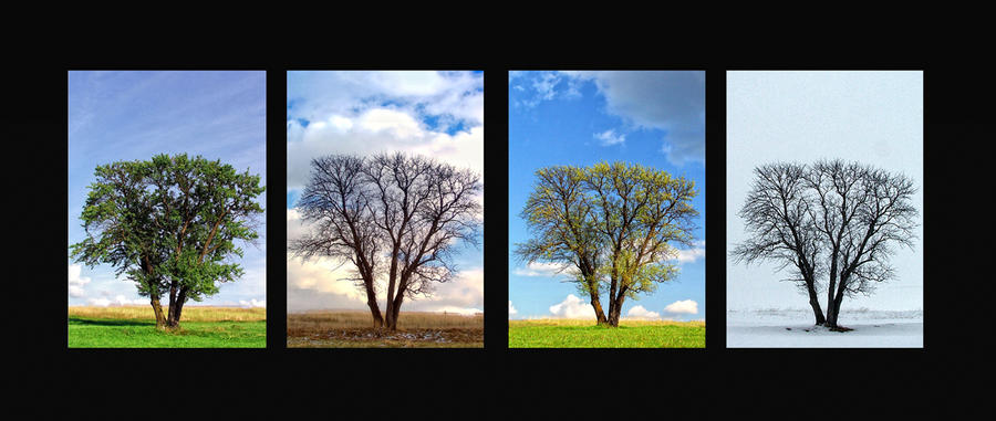 Four seasons of loneliness