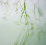 Blurred memory by mathildedn