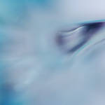 Cold by mathildedn