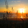 Grassy Sunset on Beach