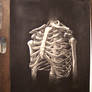 ribcage