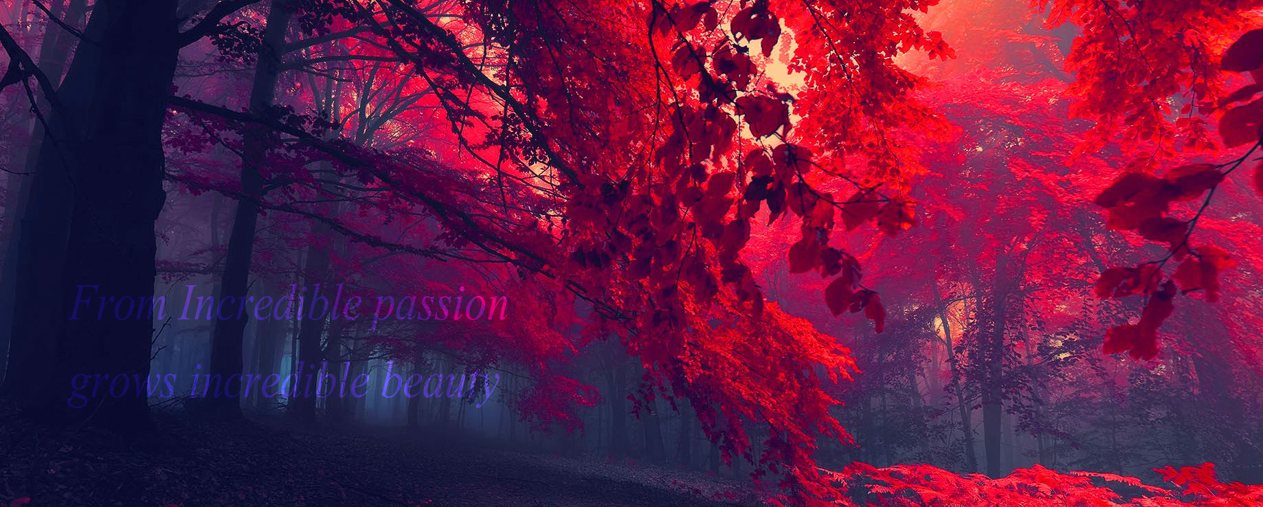 From Incredible Passion Grows Incredible Beauty