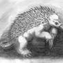 Giant Echidna