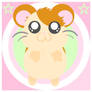 hamtaro time