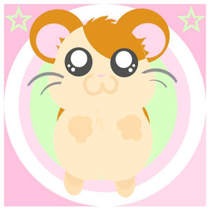 hamtaro time