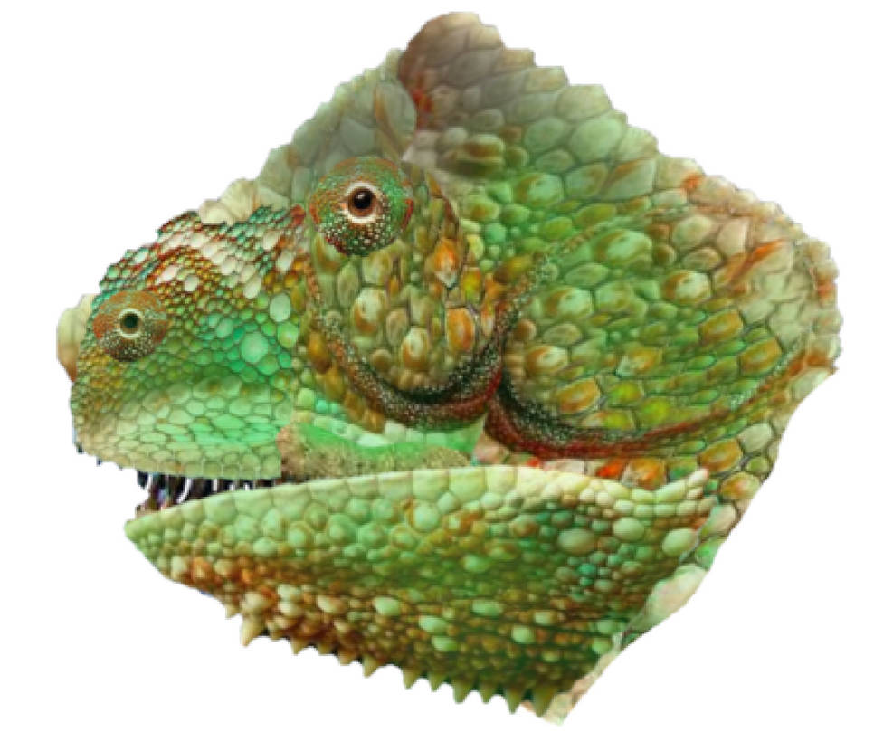 Jurassic park the Lost World Novel Carnotaurus by CharlieRex26 on DeviantArt