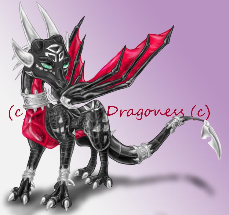 --+Cynder+--