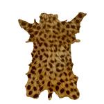 Tan Leopard Pelt by Shivali-Lorekeeper