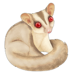 Cremino Sugar Glider Companion by Shivali-Lorekeeper
