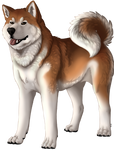 Dog Companion by Shivali-Lorekeeper