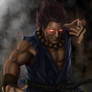 Shin Akuma