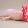 Needle felted Axolotl II