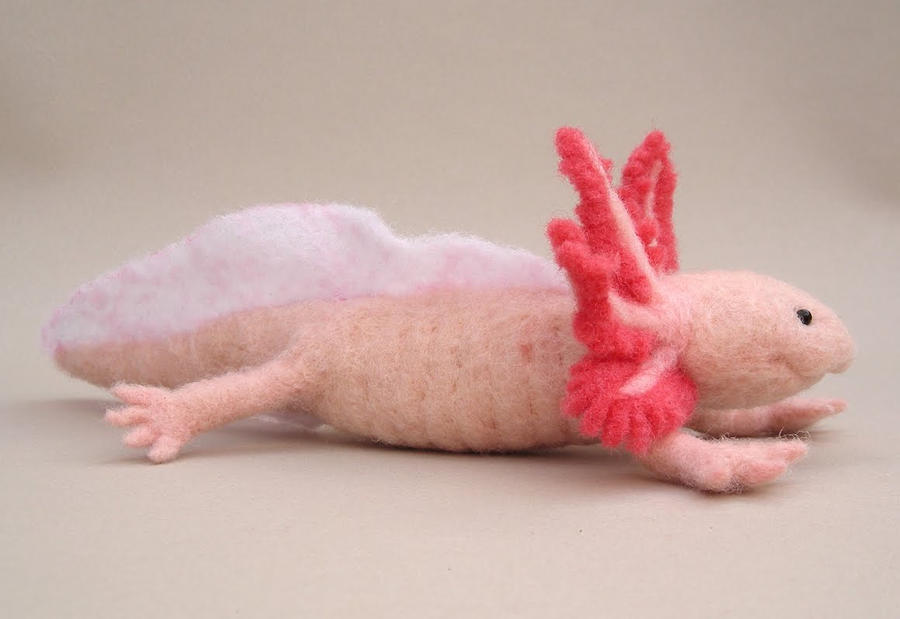 Needle felted Axolotl II