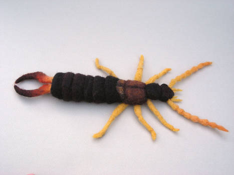 Needle Felted Earwig