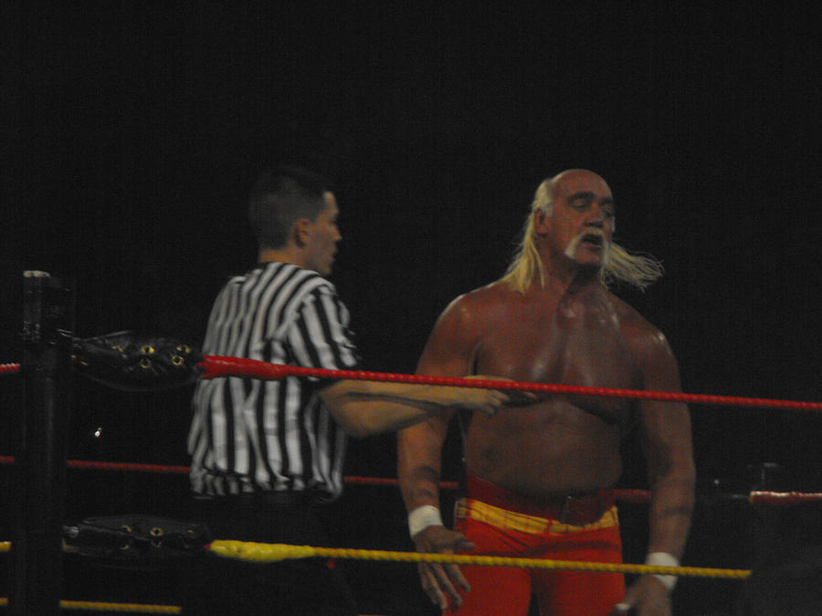 Hulk Hogan