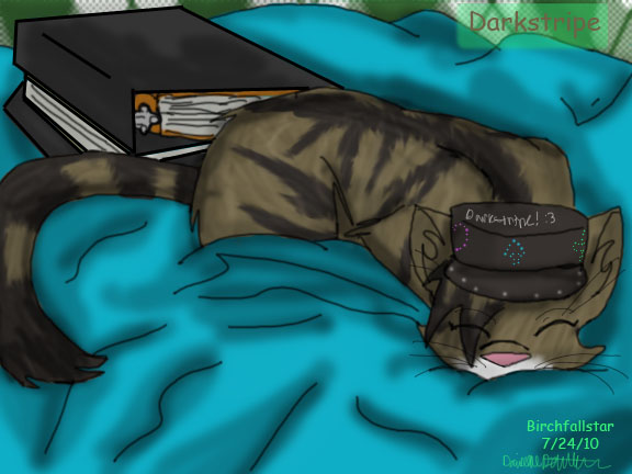 Darkstripe Asleep