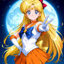 Sailor Venus: The Original Guardian