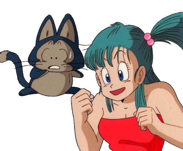 Puar Line Puar e Bulma by 19onepiece90 on DeviantArt