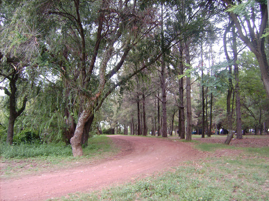 Native Red Path Red path by Elainn on DeviantArt