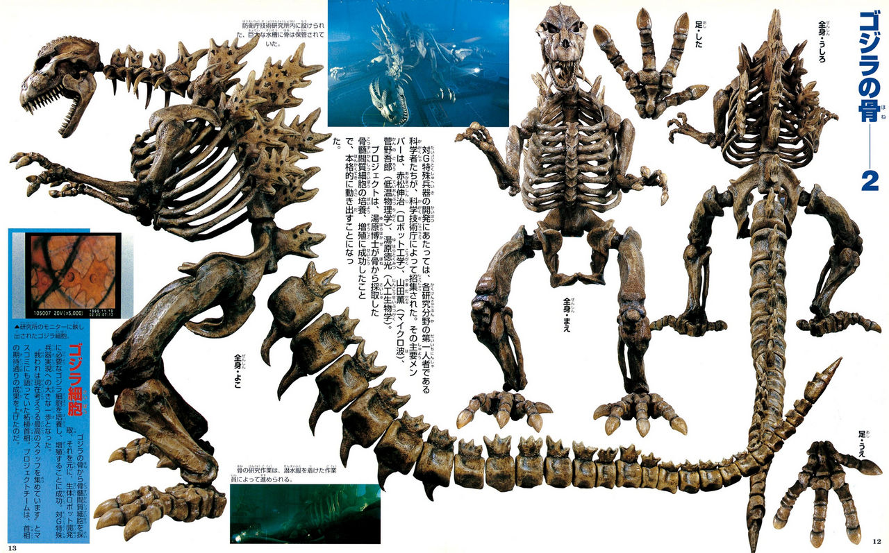 Godzilla Skeleton by AmazingCoolStuff on DeviantArt