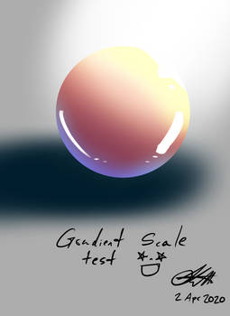 Study on gradient scale