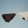 Reusable period panties