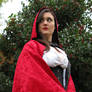 Little Red Riding Hood - 8