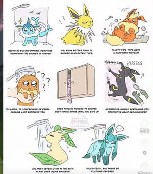 How 2 give a bath 2 ur eeveelution