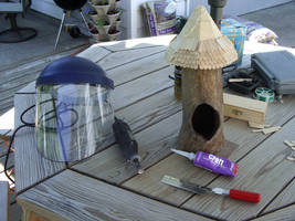 A Birdhouse Project